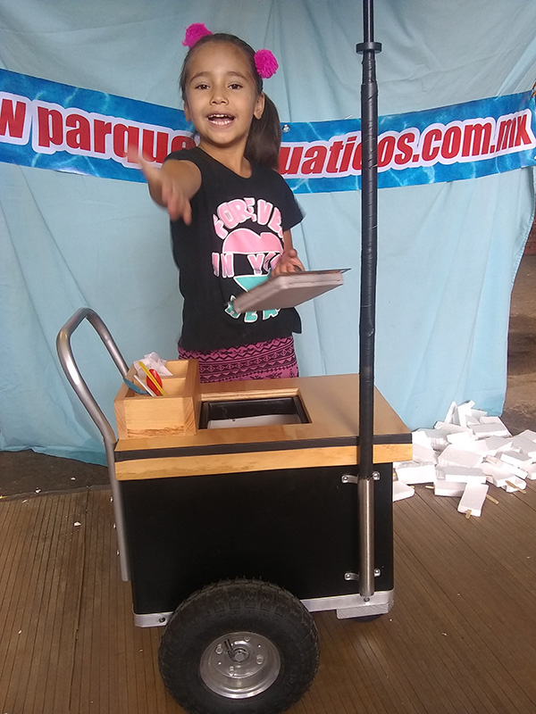 supercarrito de paletas con capacidad para 100 paletas rentalo, vendelo o conservalo